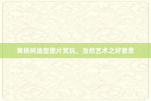 黄杨树造型图片赏玩，当然艺术之好意思